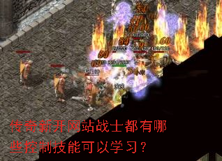 �����¿���վսʿ������Щ���Ƽ��ܿ���ѧϰ��