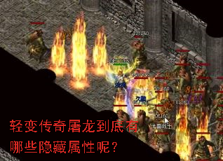 ��䴫��������������Щ���������أ�