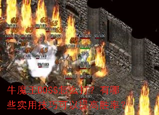 ţħ��BOSS��ô������Щʵ�ü��ɿ������ʤ�ʣ�