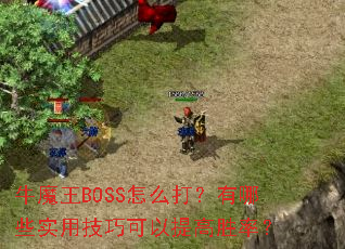 ţħ��BOSS��ô������Щʵ�ü��ɿ������ʤ�ʣ�