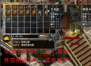 ţħ��BOSS��ô������Щʵ�ü��ɿ������ʤ�ʣ�