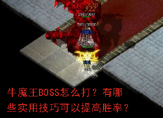 ţħ��BOSS��ô������Щʵ�ü��ɿ������ʤ�ʣ�