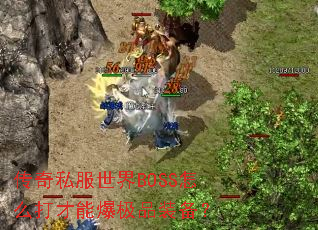 ����˽������BOSS��ô����ܱ���Ʒװ����