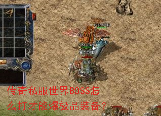 ����˽������BOSS��ô����ܱ���Ʒװ����