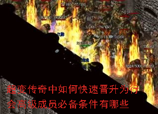 ���䴫������ο��ٽ���Ϊ�л�߼���Ա�ر���������Щ