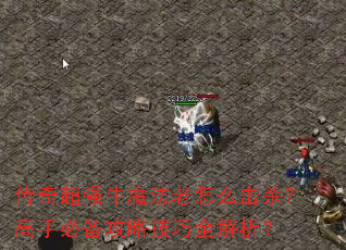 ���泬ǿţħ������ô��ɱ�����ֱر����Լ���ȫ������