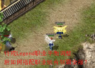 �ؽ�Legendְҵƽ���������δ���ְҵ����ư�ȫ����