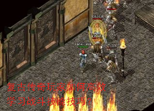 ���Ŵ��������θ�Чѧϰս�����ܼ��ɣ�