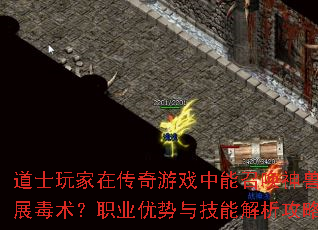 ��ʿ����ڴ�����Ϸ�����ٻ�����ʩչ������ְҵ�����뼼�ܽ�������