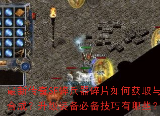 ���´���SF�������Ƭ��λ�ȡ��ϳɣ�����װ���ر���������Щ��