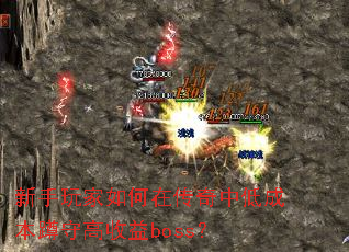�����������ڴ����еͳɱ����ظ�����boss��