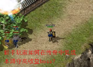 �����������ڴ����еͳɱ����ظ�����boss��