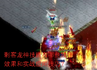 �̿�����������Щ����Ч����ʵսӦ�ü��ɣ�