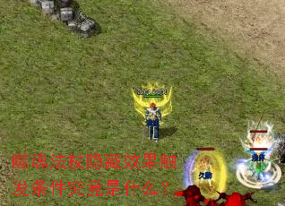 �ɻ귨������Ч����������������ʲô��