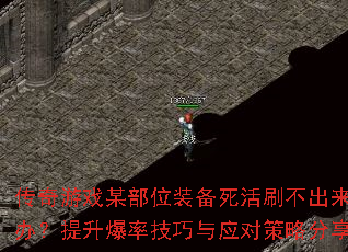 ������Ϸĳ��λװ������ˢ��������ô�죿�������ʼ�����Ӧ�Բ��Է�����