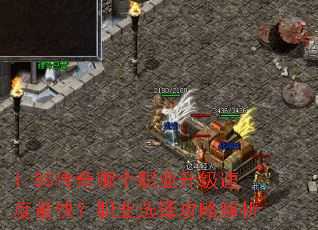 1.85�����ĸ�ְҵ�����ٶ���죿ְҵѡ���Խ���