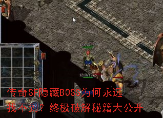 ����SF����BOSSΪ����Զ�Ҳ������ռ��ƽ��ؼ��󹫿�