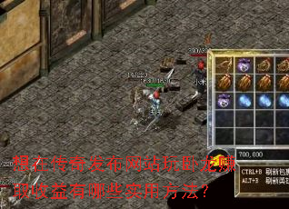 ���ڴ��淢����վ������׬ȡ��������Щʵ�÷�����