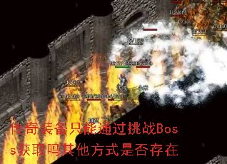 ����װ��ֻ��ͨ����սBoss��ȡ��������ʽ�Ƿ����