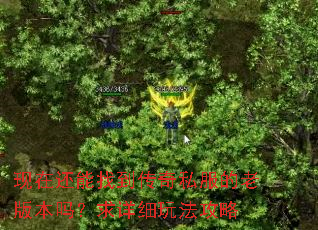 ���ڻ����ҵ�����˽�����ϰ汾������ϸ�淨����