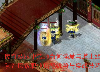 ����˽���з�ʦΪ��ƫ�����ʿ��ӣ�̽��ְҵ����������ʵս����