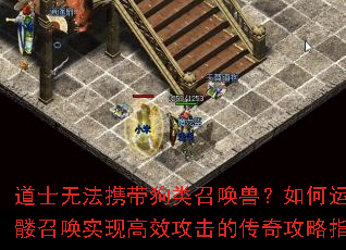 ��ʿ�޷�Я�������ٻ��ޣ�������������ٻ�ʵ�ָ�Ч�����Ĵ��湥��ָ�ϣ�