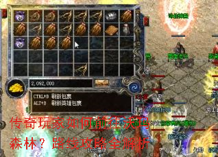 ����������ǰ������ɭ�֣�·�߹���ȫ����