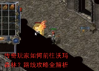 ����������ǰ������ɭ�֣�·�߹���ȫ����