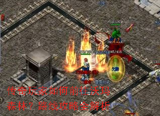 ����������ǰ������ɭ�֣�·�߹���ȫ����