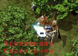PKǰ��ε��������������������ս�����ƣ�