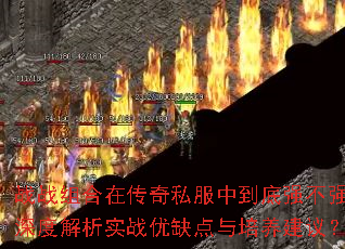 սս����ڴ���˽���е���ǿ��ǿ����Ƚ���ʵս��ȱ�����������飿