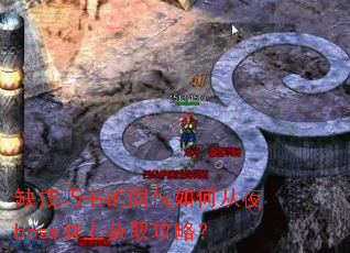 ȱ�������ͬ����δ�ҹboss���ϻ�ȡ���ԣ�