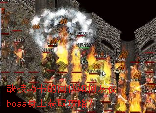 ȱ�������ͬ����δ�ҹboss���ϻ�ȡ���ԣ�