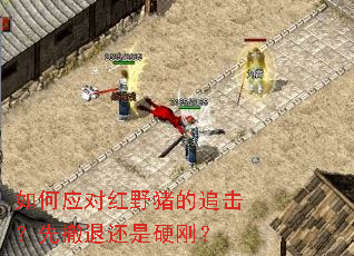 ���Ӧ�Ժ�Ұ����׷�����ȳ��˻���Ӳ�գ�