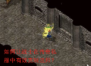 �����սʿ�ڴ���˽������Ч���Ʒ�ʦ��