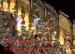 ����ڴ�����Ϸ��ʹ��IP���������������