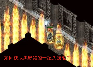 ��λ�ȡ��Ұ����һŤͷ���ܣ�