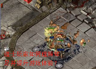��ʿ����������֪�㲢������Ϸ���飿