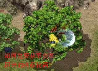 �����ѻ�ȡ��̬���ֵ��ռ��ؼ���