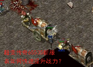 ���䴫��65535�·�����ο�������ս����