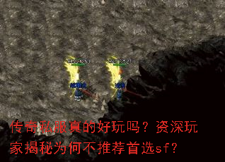 ����˽����ĺ�����������ҽ���Ϊ�β��Ƽ���ѡsf��
