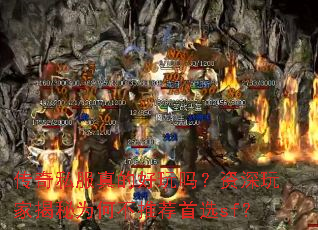 ����˽����ĺ�����������ҽ���Ϊ�β��Ƽ���ѡsf��