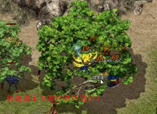 �����ʿ����Щ�������ƣ�