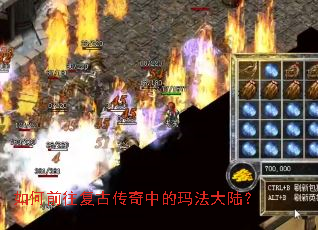 ���ǰ�����Ŵ����е��귨��½��