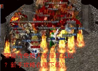 ��������ɢ��ר����ô�棿���ֹ����������أ�