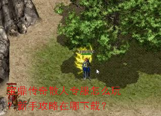 ��������ɢ��ר����ô�棿���ֹ����������أ�