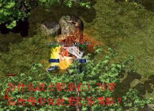 Ϊʲôսʿְҵ��1.76��Ʒ��������������������