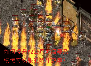 �������M2���ó弶��ϵͳ����˽����ս��Ч�ʣ�