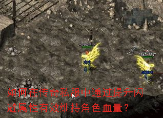 ����ڴ���˽����ͨ����������������Чά�ֽ�ɫѪ����
