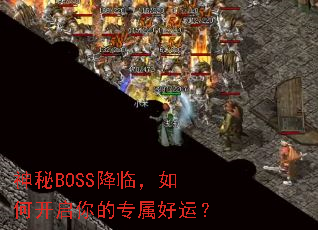 ����BOSS���٣���ο������ר�����ˣ�